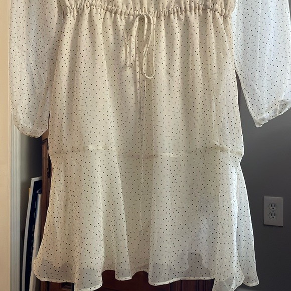 Banana Republic NWT Cream with black polka dots sheer dress.  Size small. - Picture 5 of 6
